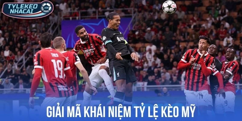 Giải mã khái niệm tỷ lệ kèo Mỹ cho người mới bắt đầu