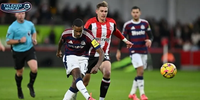 Đánh giá phong độ cặp đấu Newcastle vs Brentford