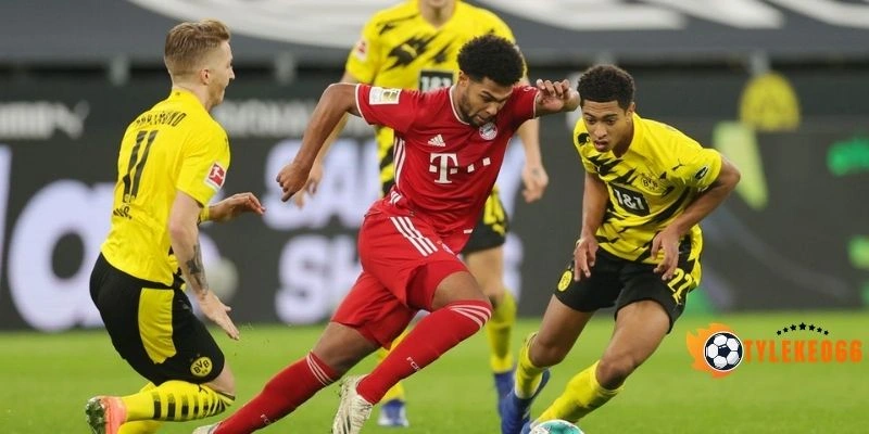 Sơ đồ chiến thuật dự kiến của tuyển Ecuador vs Đức